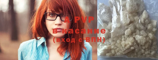 PSILOCYBIN Гусиноозёрск