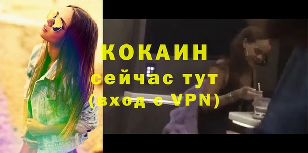 PSILOCYBIN Гусиноозёрск