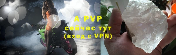 PSILOCYBIN Гусиноозёрск