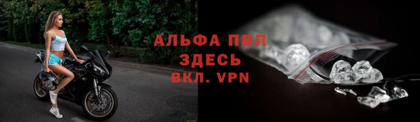 PSILOCYBIN Гусиноозёрск