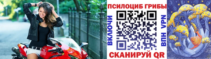 Купить  Фролово  Псилоцибиновые грибы Magic Shrooms 