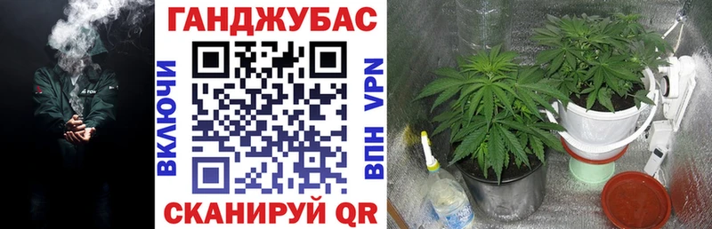 Купить закладки  Фролово  Конопля Amnesia 
